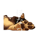 NORAB（個別スタンプ：12）