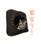 ゆるゆるさんきちスタンプ（個別スタンプ：4）