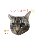 ゆるゆるさんきちスタンプ（個別スタンプ：18）