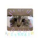 ゆるゆるさんきちスタンプ（個別スタンプ：21）