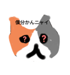 ねこねこ軍団（個別スタンプ：8）