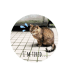 幸せな日々♪︎（個別スタンプ：8）