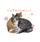 うにしおの日常（個別スタンプ：10）