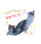 うにしおの日常（個別スタンプ：16）