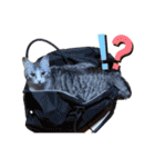 うにしおの日常（個別スタンプ：23）