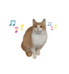 うにしおの日常（個別スタンプ：30）