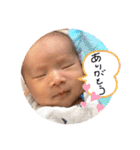 koseidesu（個別スタンプ：5）