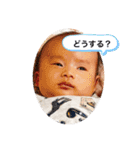 koseidesu（個別スタンプ：24）