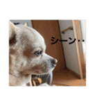 スムチーのレイ（個別スタンプ：18）