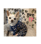 スムチーのレイ（個別スタンプ：19）