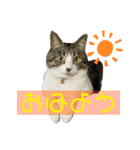まるちゃんとちびちゃん（個別スタンプ：1）