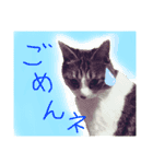 まるちゃんとちびちゃん（個別スタンプ：2）
