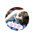 まるちゃんとちびちゃん（個別スタンプ：3）