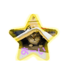 まるちゃんとちびちゃん（個別スタンプ：5）