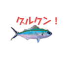 ウチナー釣り人のスタンプ（個別スタンプ：3）
