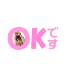 KIDS⌘UKA★日常会話②（個別スタンプ：3）
