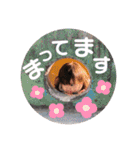 KIDS⌘UKA★日常会話②（個別スタンプ：16）