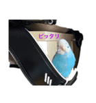 可愛いうちこ（個別スタンプ：5）