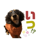 マカナとしんのすけ②（個別スタンプ：4）