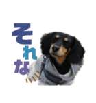 マカナとしんのすけ②（個別スタンプ：7）
