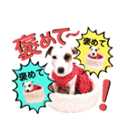 愛犬♡ハナコのスタンプ＊11（個別スタンプ：28）