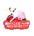 愛犬♡ハナコのスタンプ＊11（個別スタンプ：32）