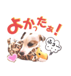 愛犬♡ハナコのスタンプ＊11（個別スタンプ：38）