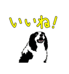 南総学舎 名犬ハル（個別スタンプ：1）