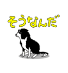 南総学舎 名犬ハル（個別スタンプ：4）