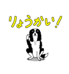 南総学舎 名犬ハル（個別スタンプ：5）