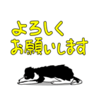 南総学舎 名犬ハル（個別スタンプ：6）