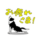 南総学舎 名犬ハル（個別スタンプ：7）