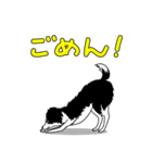 南総学舎 名犬ハル（個別スタンプ：8）