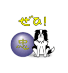 南総学舎 名犬ハル（個別スタンプ：13）