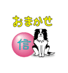 南総学舎 名犬ハル（個別スタンプ：14）