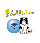 南総学舎 名犬ハル（個別スタンプ：15）