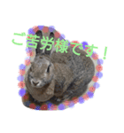 うーちゃんとなかまたち    （自衛隊用語）（個別スタンプ：2）
