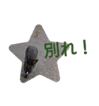 うーちゃんとなかまたち    （自衛隊用語）（個別スタンプ：4）