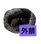 うーちゃんとなかまたち    （自衛隊用語）（個別スタンプ：13）