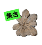 うーちゃんとなかまたち    （自衛隊用語）（個別スタンプ：20）