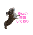 うーちゃんとなかまたち    （自衛隊用語）（個別スタンプ：22）