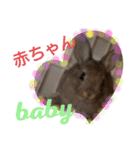 うーちゃんとなかまたち    （自衛隊用語）（個別スタンプ：24）