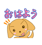 うちの犬とスタンプ20個目記念のおまけ（個別スタンプ：1）