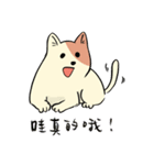 小猫の世界（個別スタンプ：8）