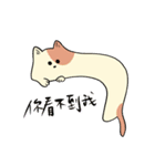 小猫の世界（個別スタンプ：12）