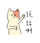 小猫の世界（個別スタンプ：13）