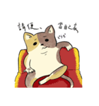 小猫の世界（個別スタンプ：15）