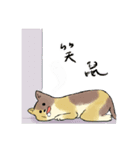 小猫の世界（個別スタンプ：18）