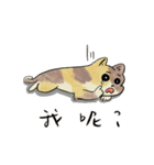 小猫の世界（個別スタンプ：21）