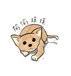 小猫の世界（個別スタンプ：23）